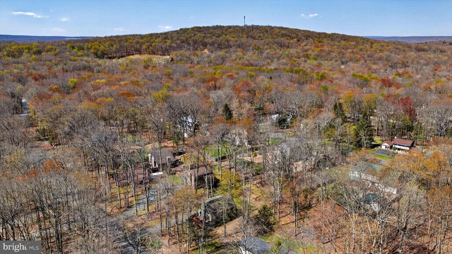 179 Selig Road photo 61