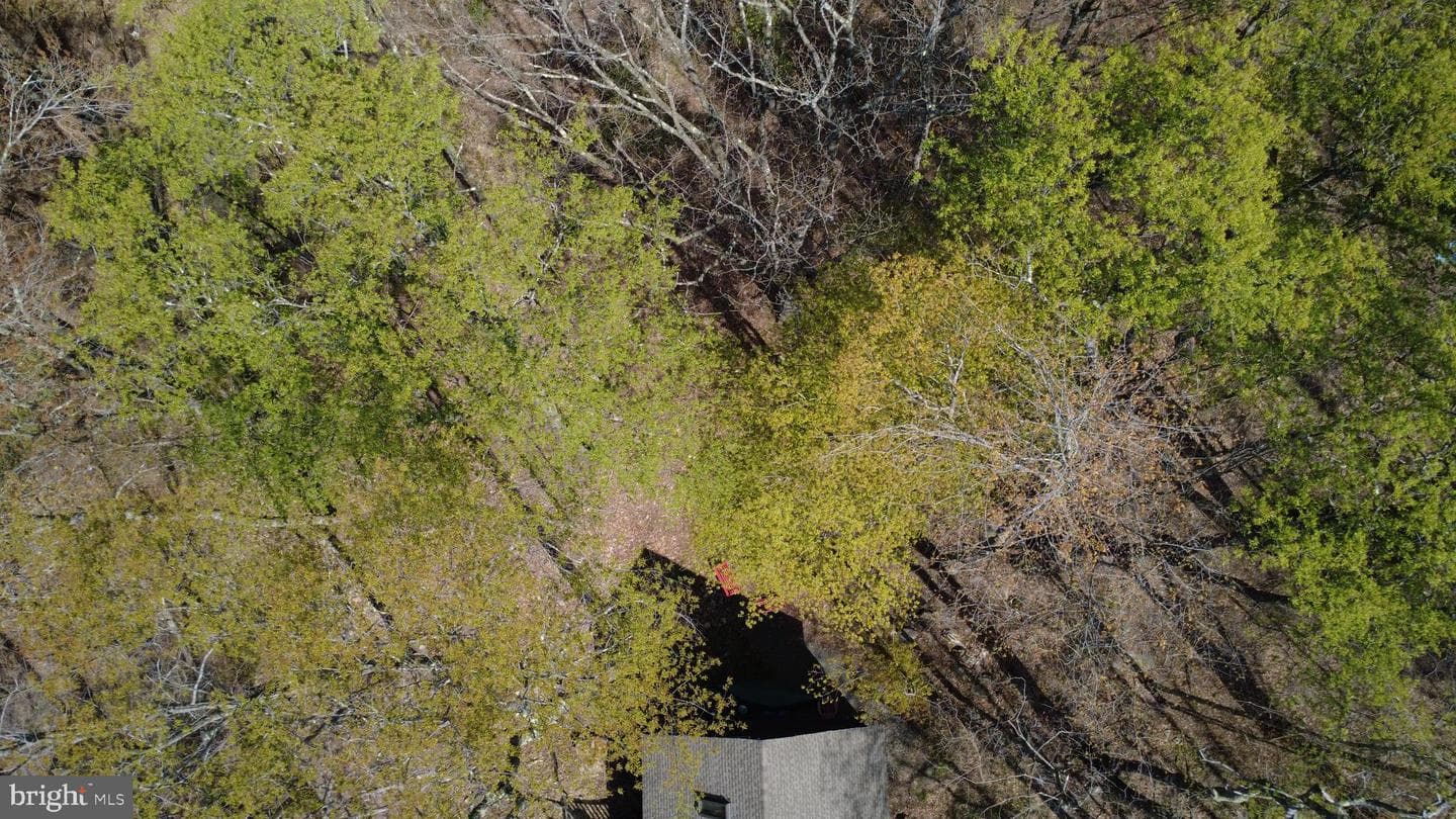 163 Owassa Drive photo 48