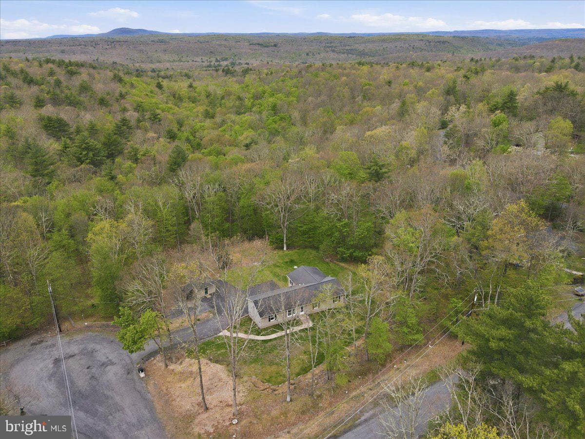 58 Brush Drive photo 97