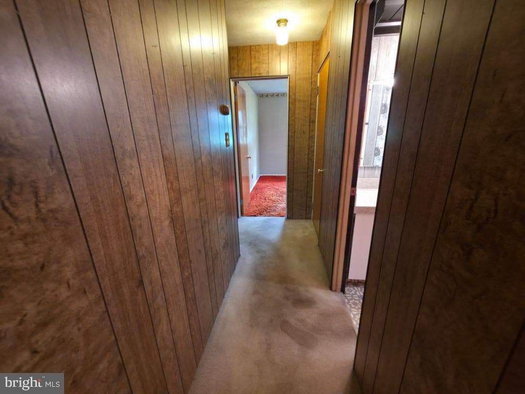 50 Montovision Road photo 12