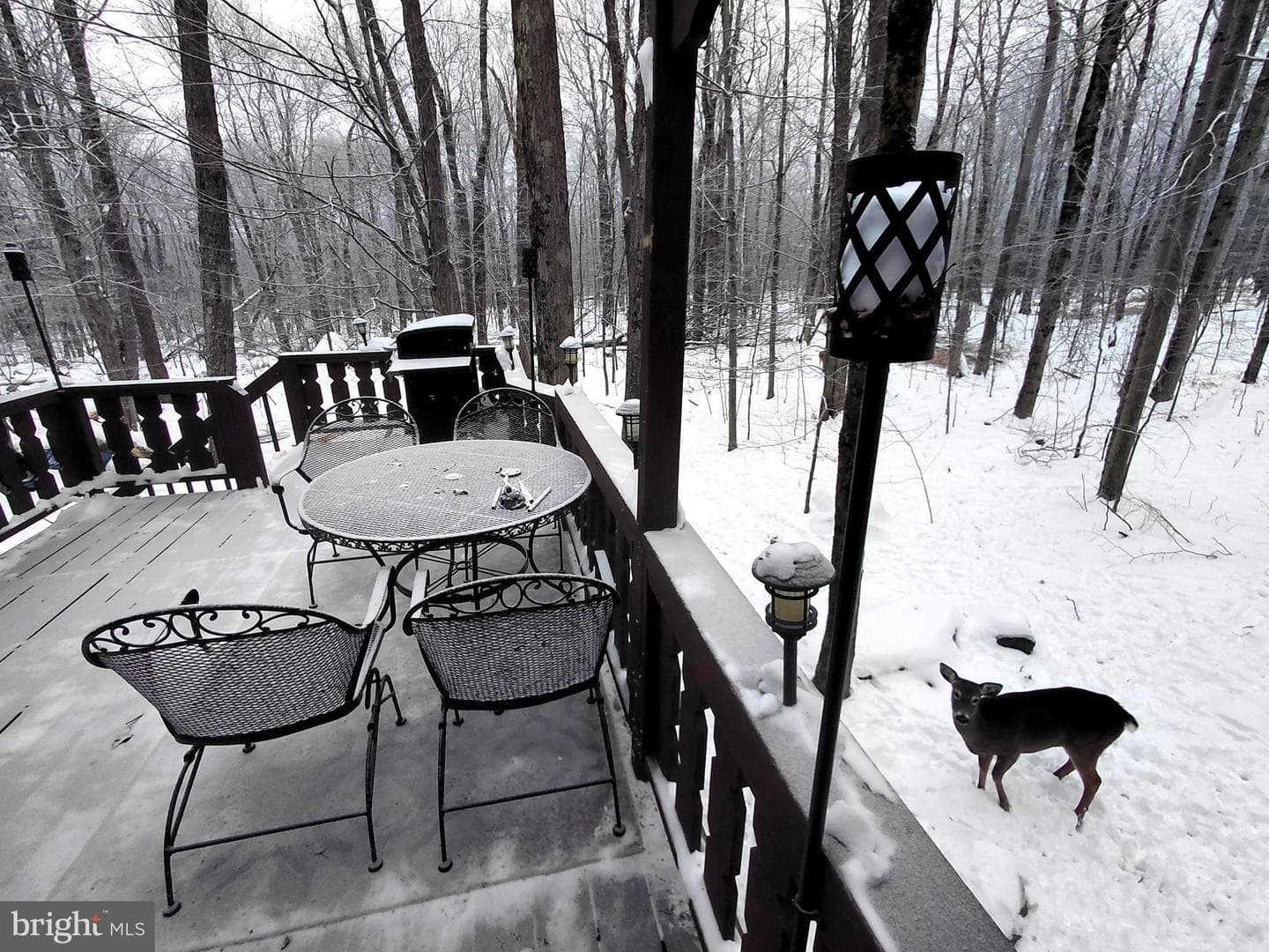 1328 Winding Way photo 72