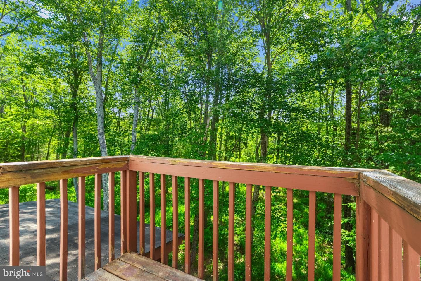 1229 Fern Drive photo 34