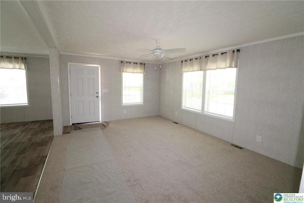 5020 Old Timber Road photo 3