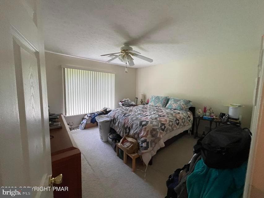 3116 Tutelo Way photo 13