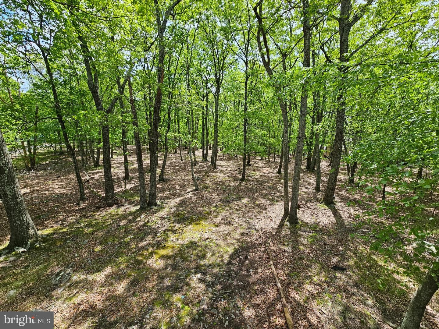 8226 Woodchuck Court photo 26