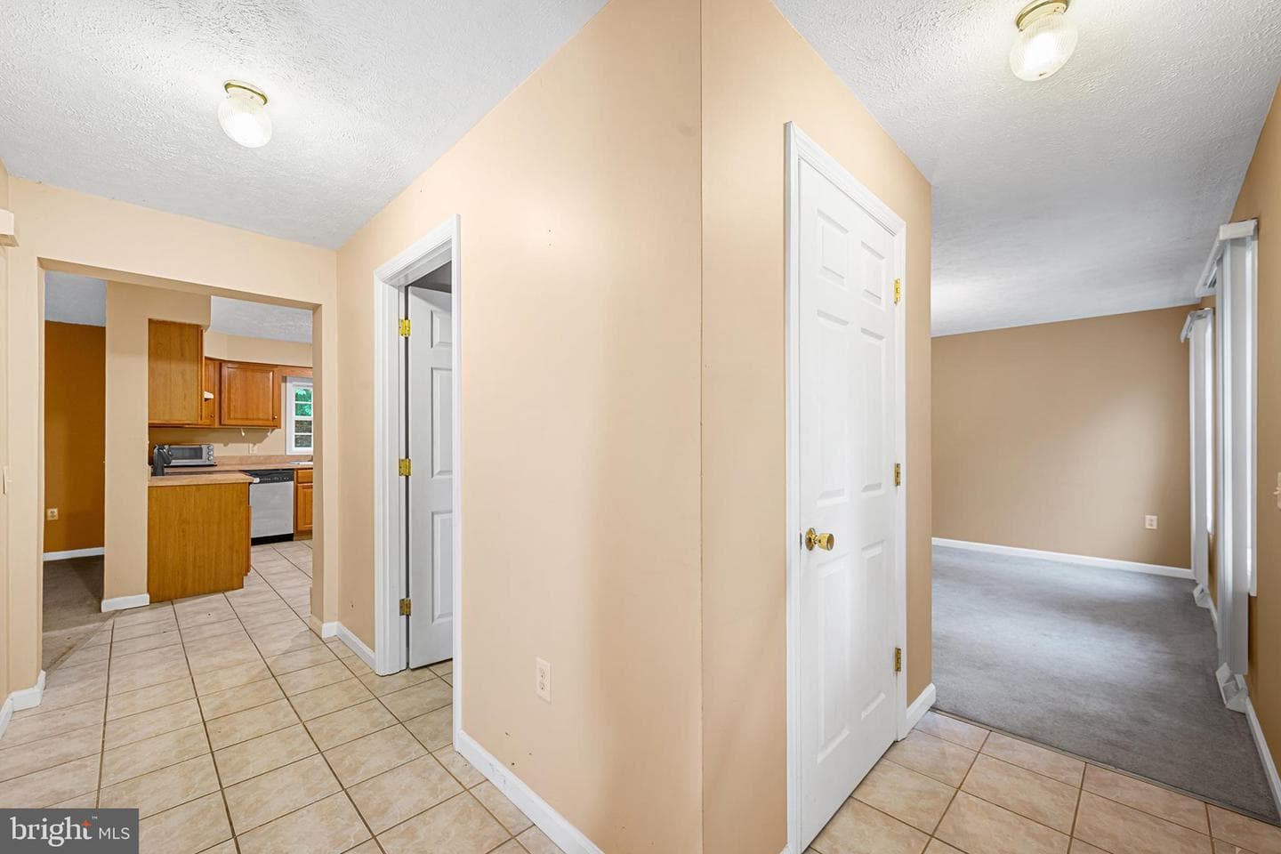 313 Lower Lakeview Drive photo 3
