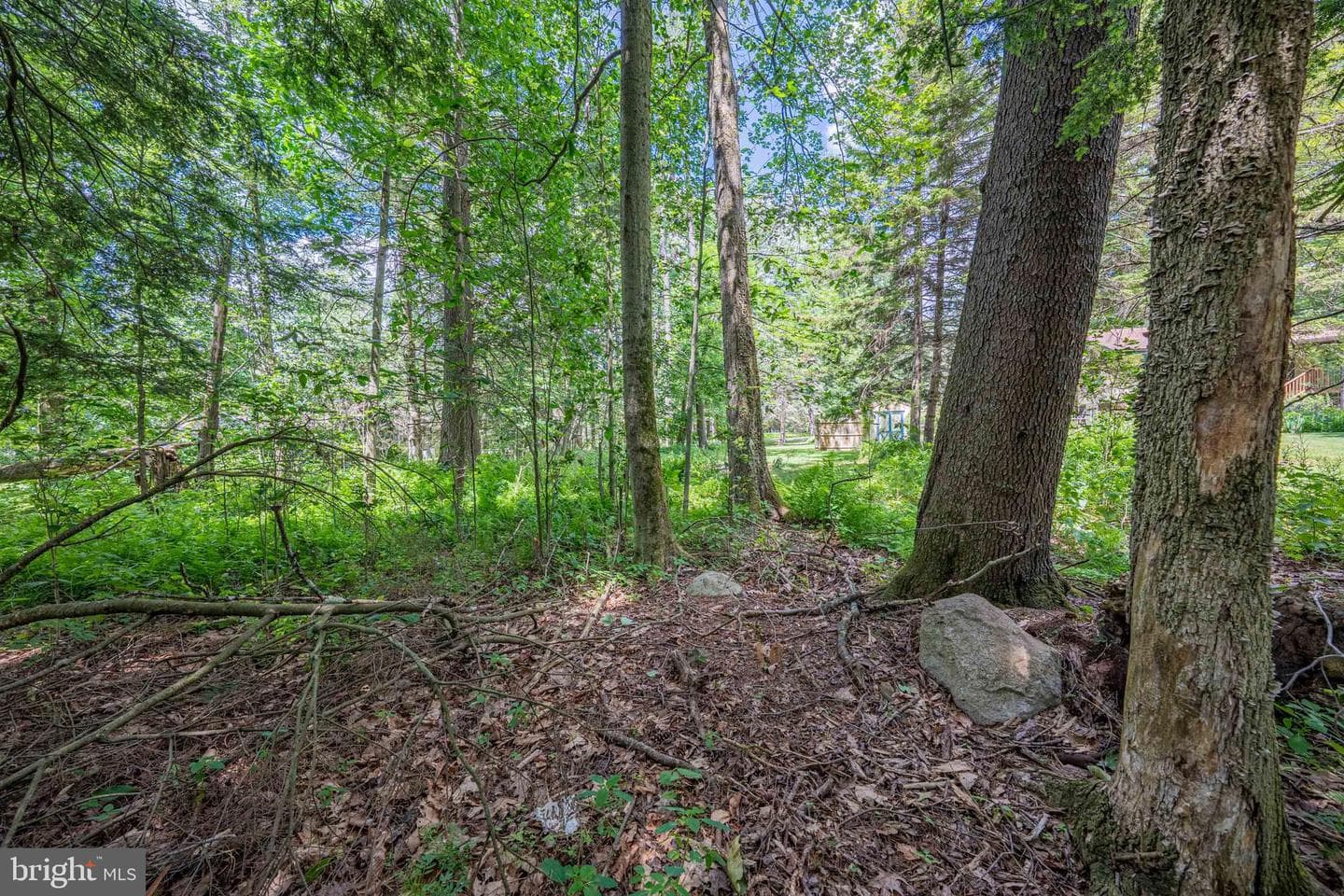 5226 Beechwood Road photo 46