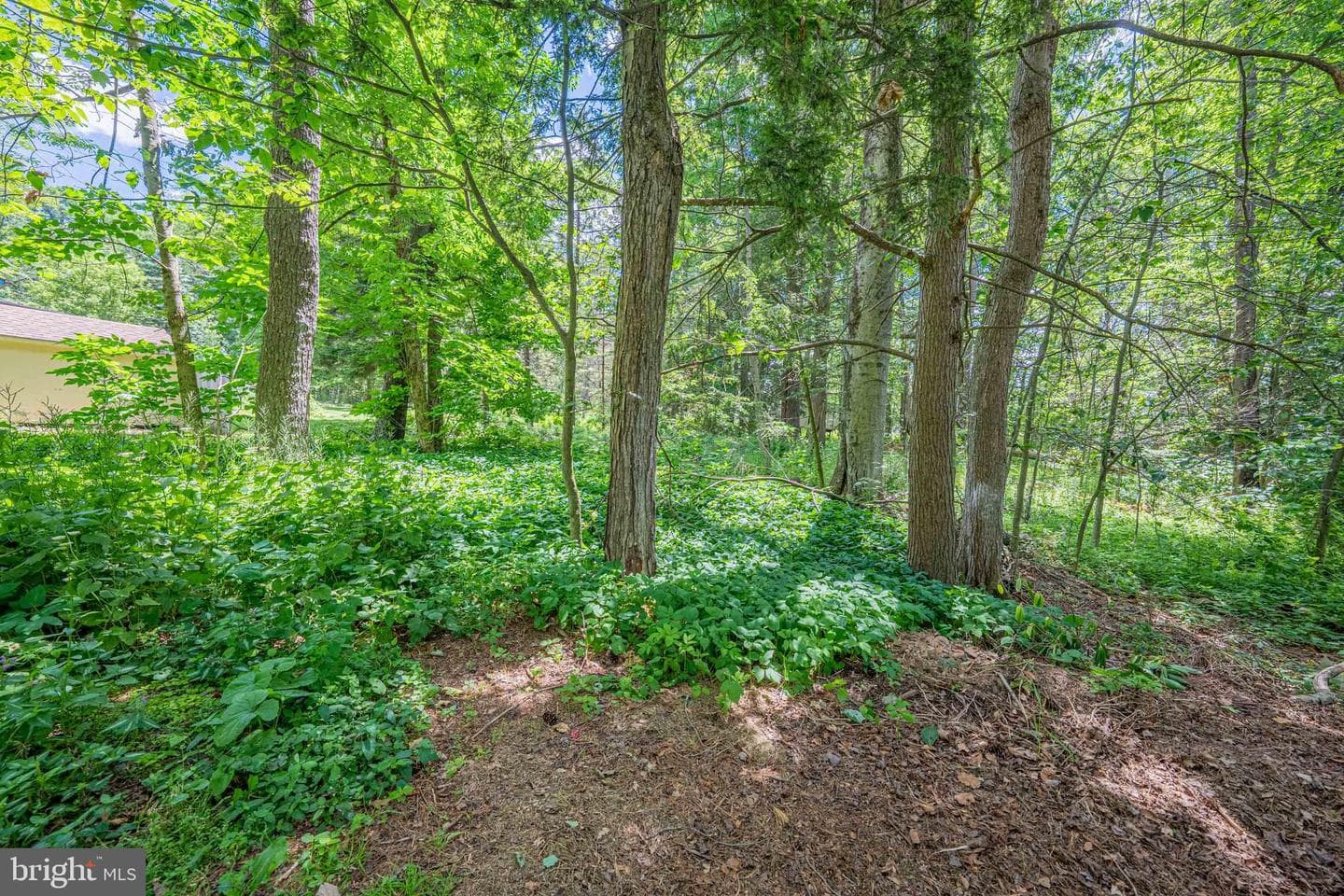 5226 Beechwood Road photo 47