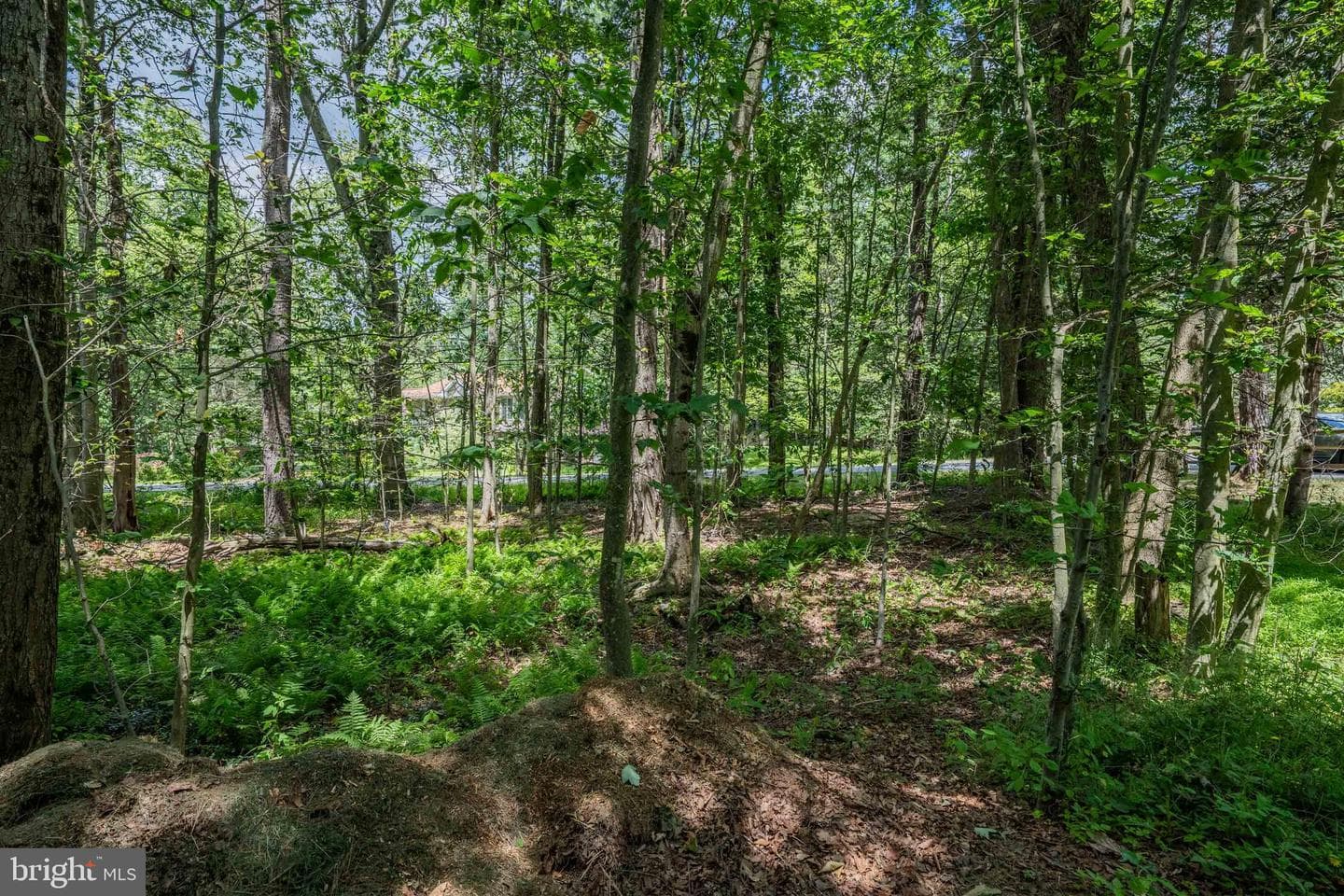 5226 Beechwood Road photo 48
