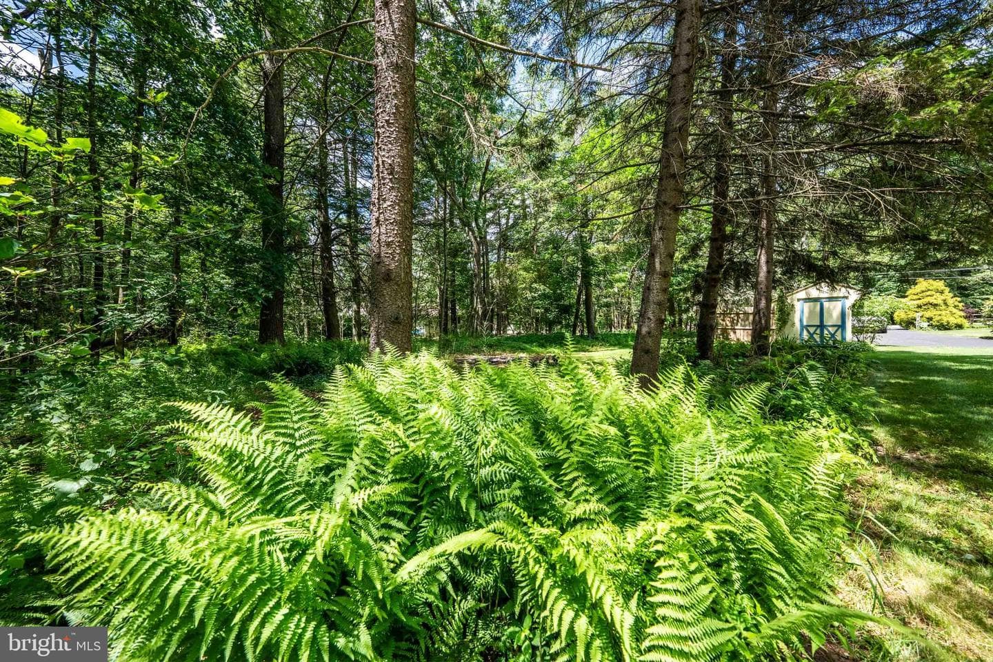 5226 Beechwood Road photo 49
