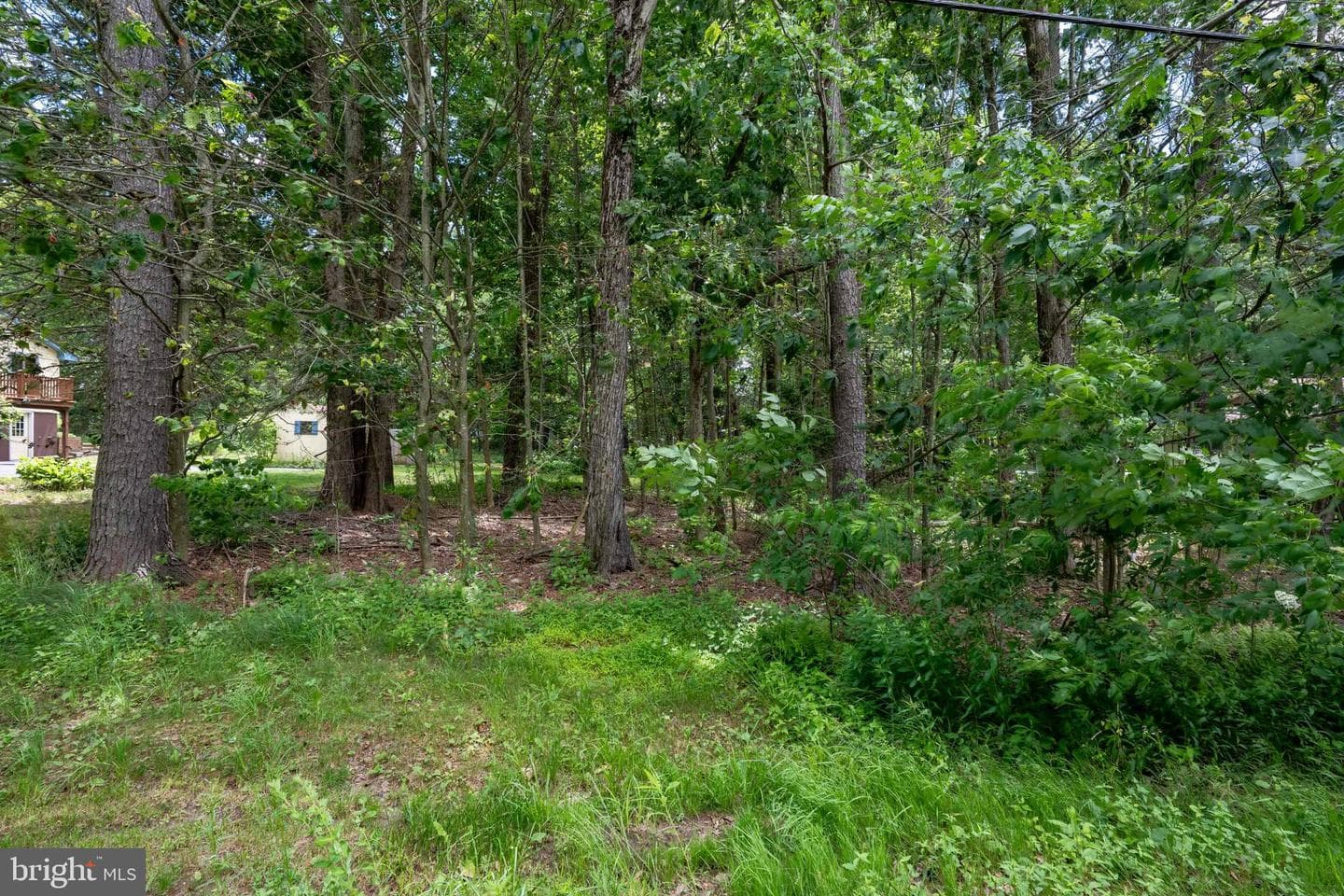 5226 Beechwood Road photo 51