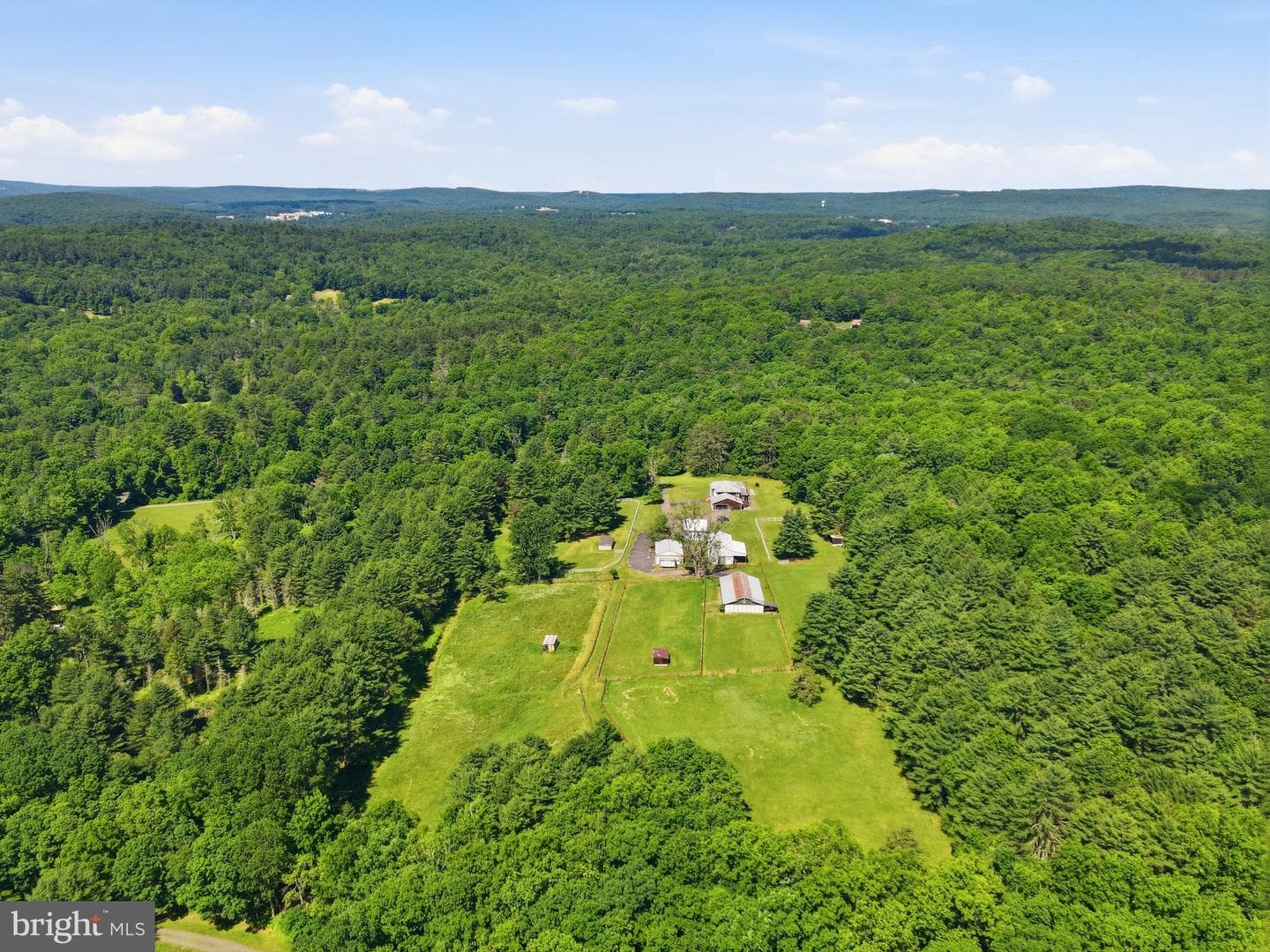 1163 Bush Road photo 48