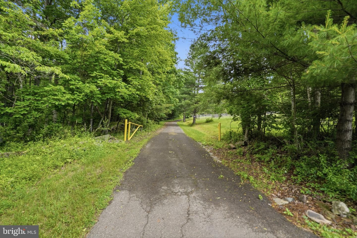 1163 Bush Road photo 52