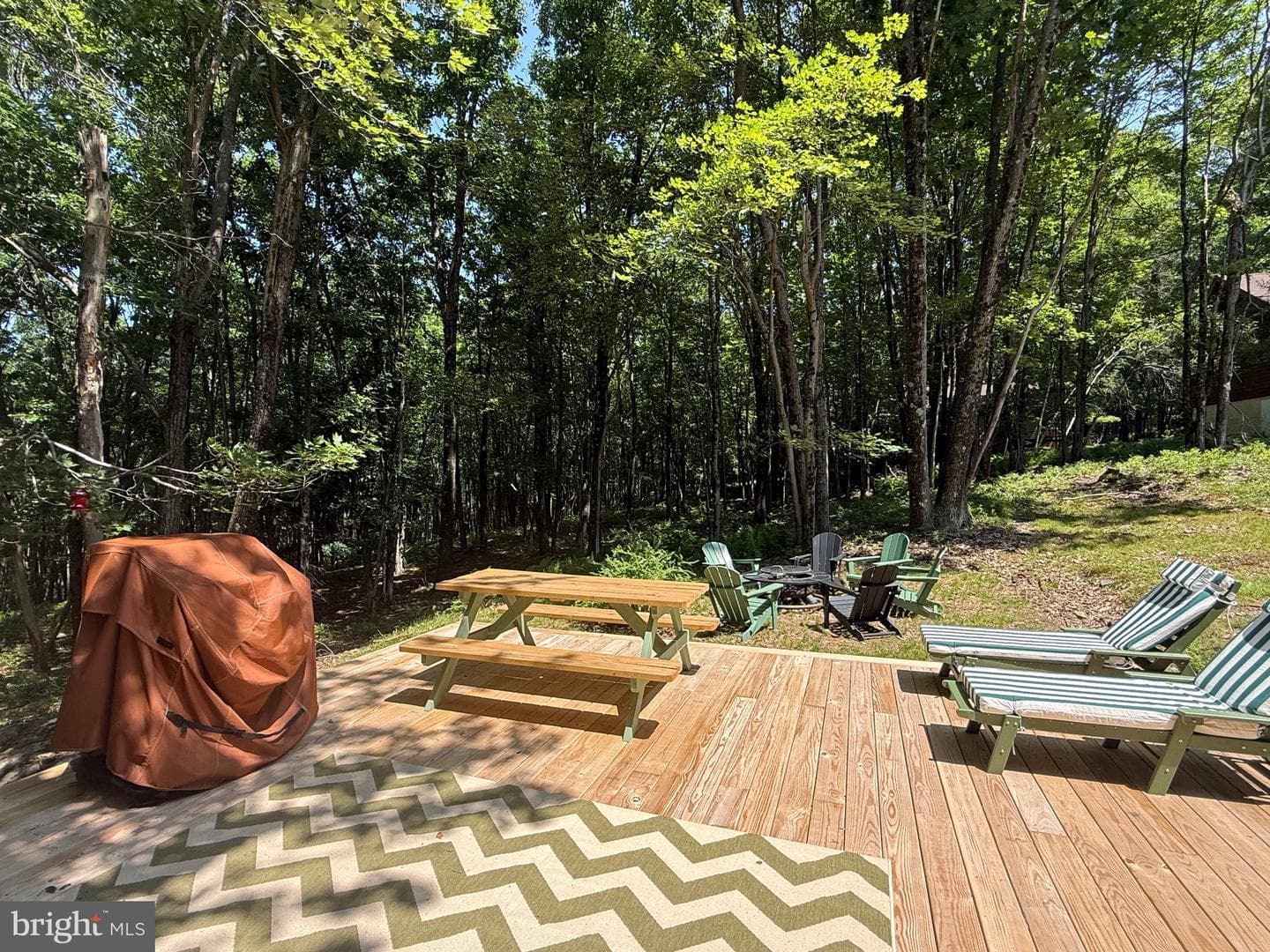 229 Brier Crest Road photo 75
