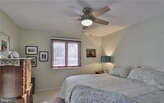 536 Carol Lane photo 23