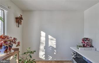 536 Carol Lane photo 31