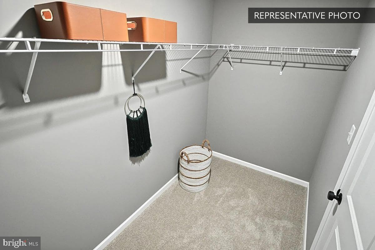 3224 Tepes Drive #lot 175 photo 10