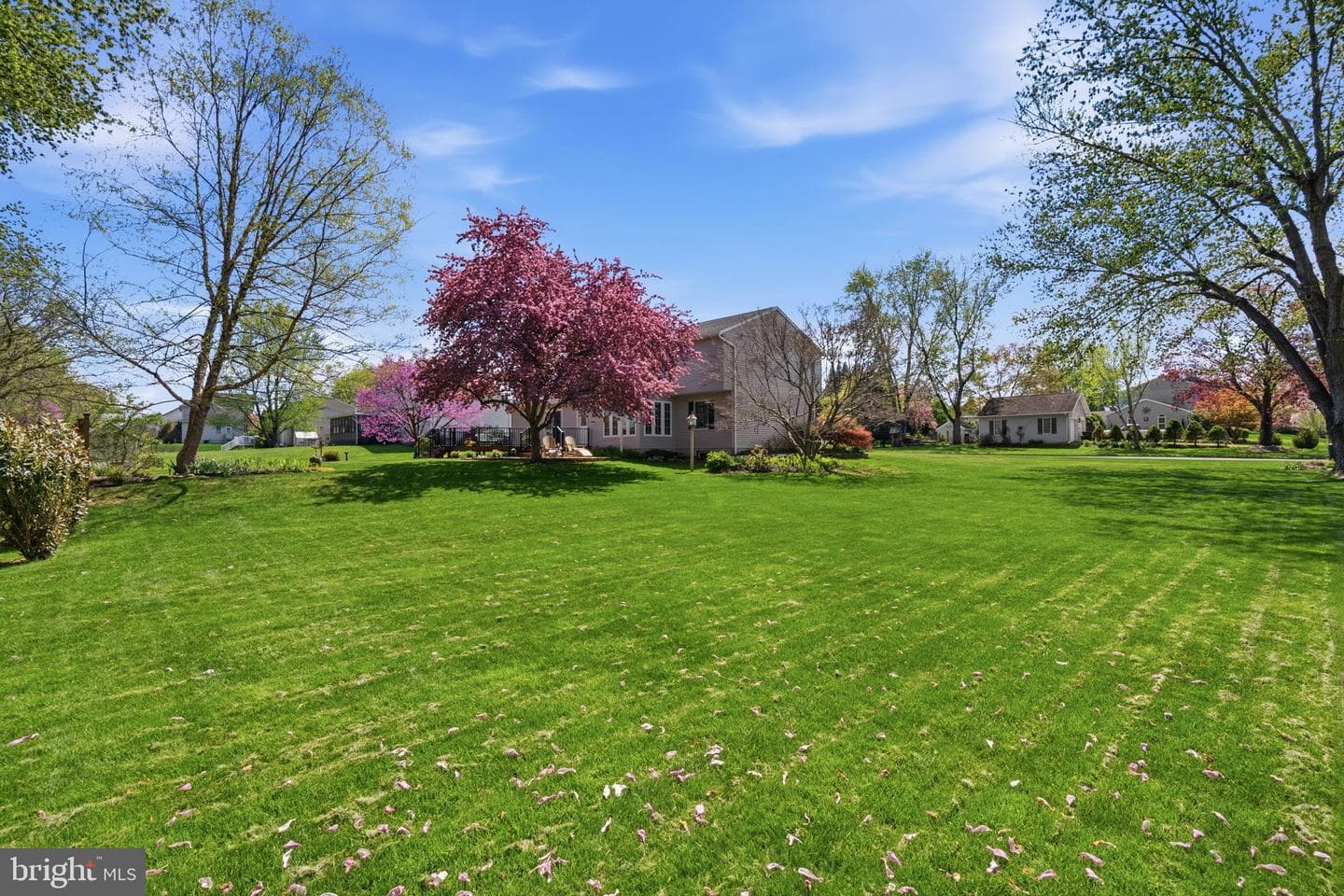 1847 Clarence Drive photo 44