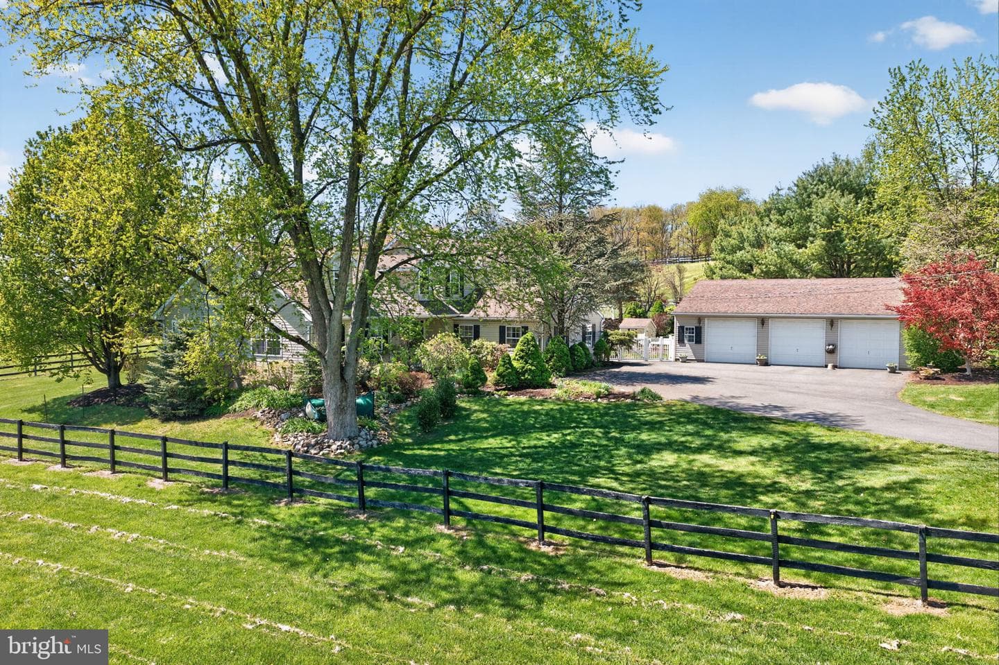 1135 Myrtle Road photo 3
