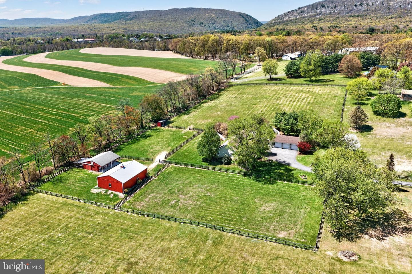 1135 Myrtle Road photo 62