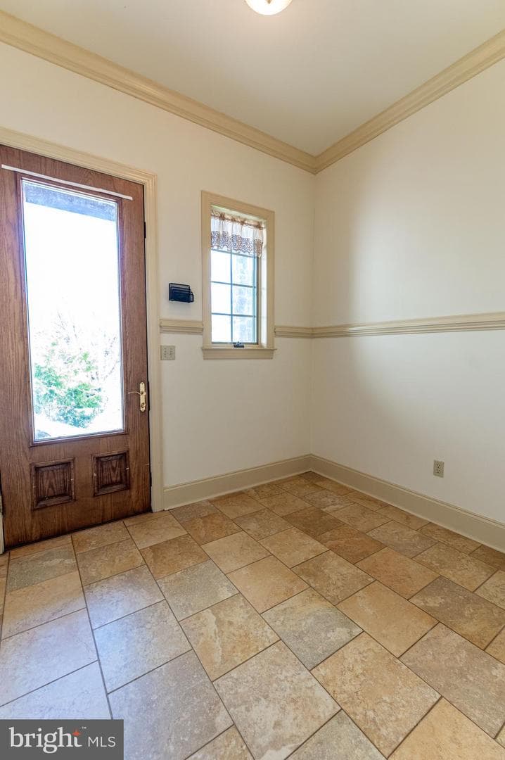 49 Crest Boulevard photo 30