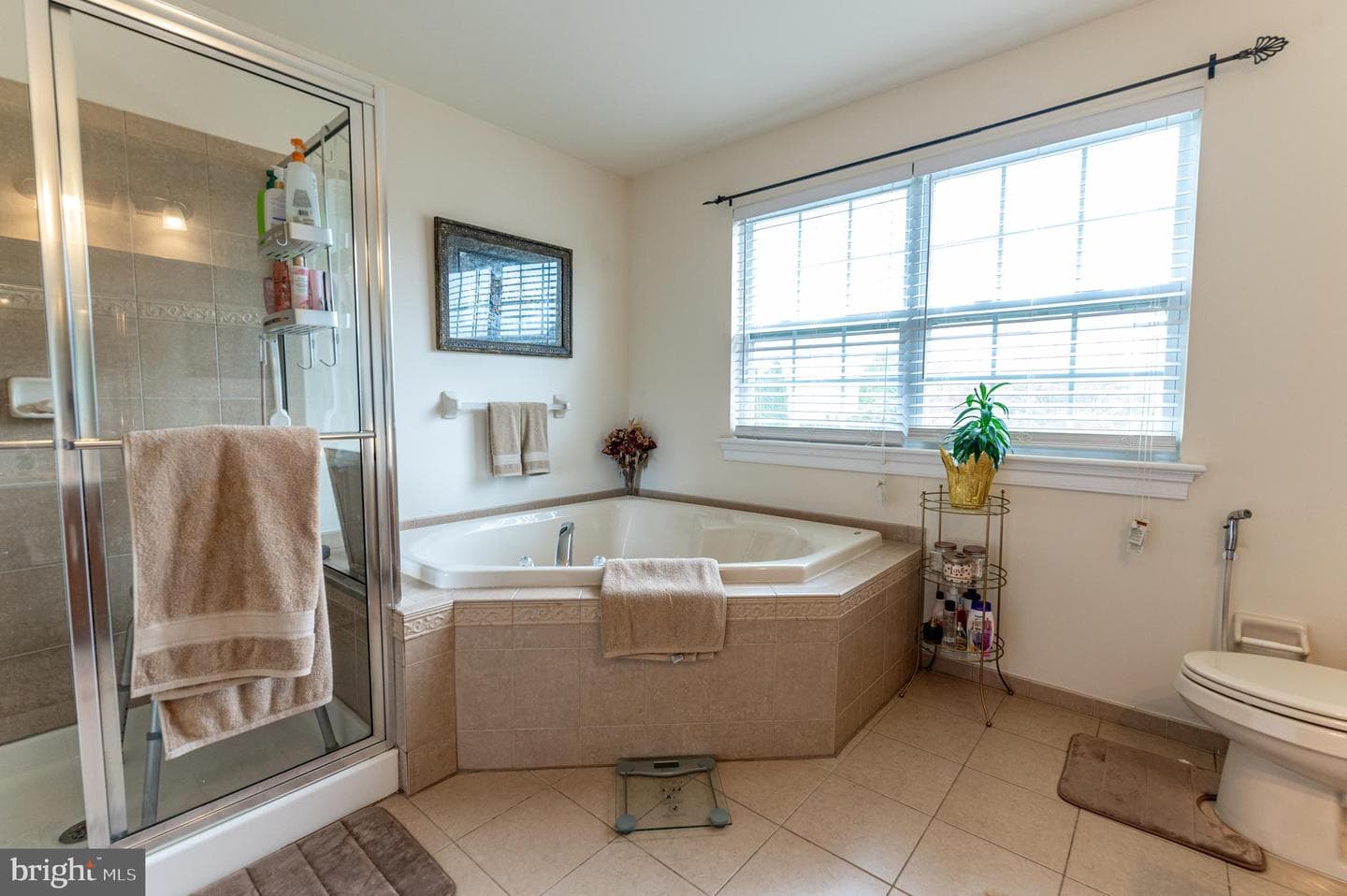 4415 Crosswinds Drive photo 43