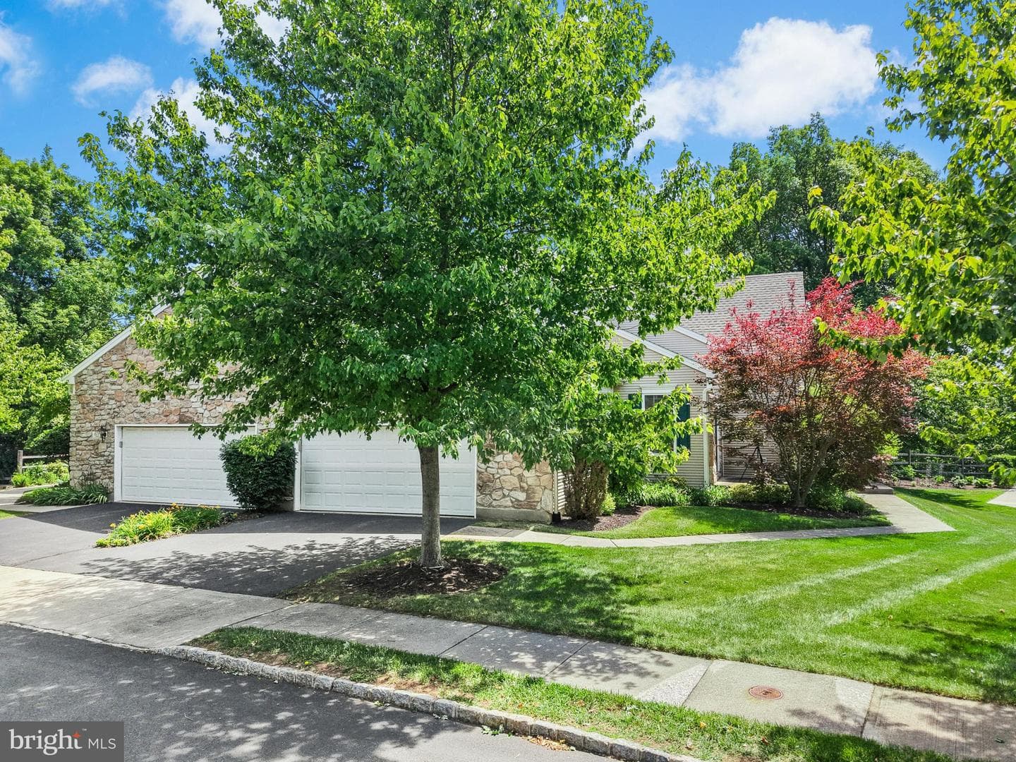 1871 Caryn Drive photo 3