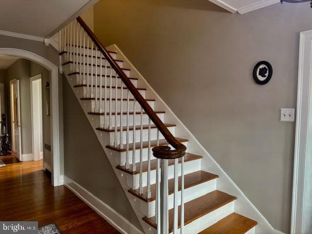127 E Sunbury Street photo 29