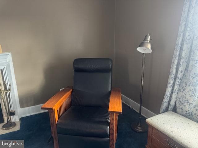 127 E Sunbury Street photo 36