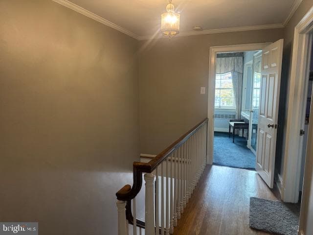 127 E Sunbury Street photo 48