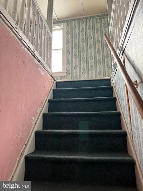 1115 Oak Street photo 7