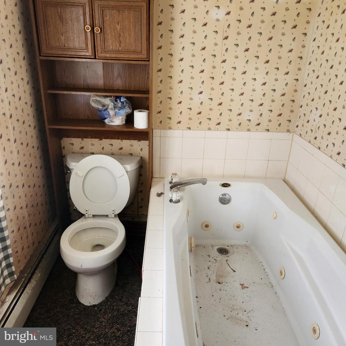 303 Swamp Poodle Lane photo 26