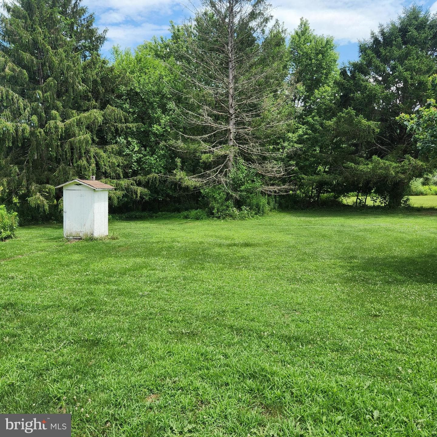 303 Swamp Poodle Lane photo 5