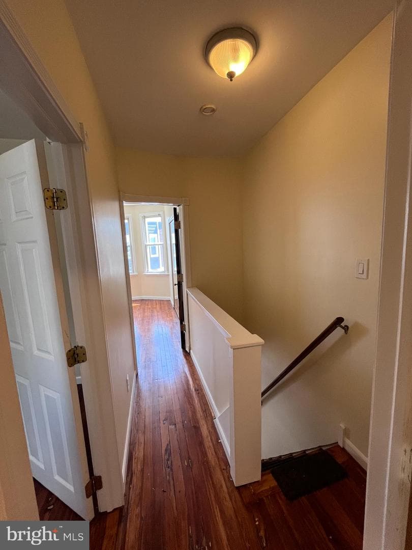 147 Tree Street photo 10