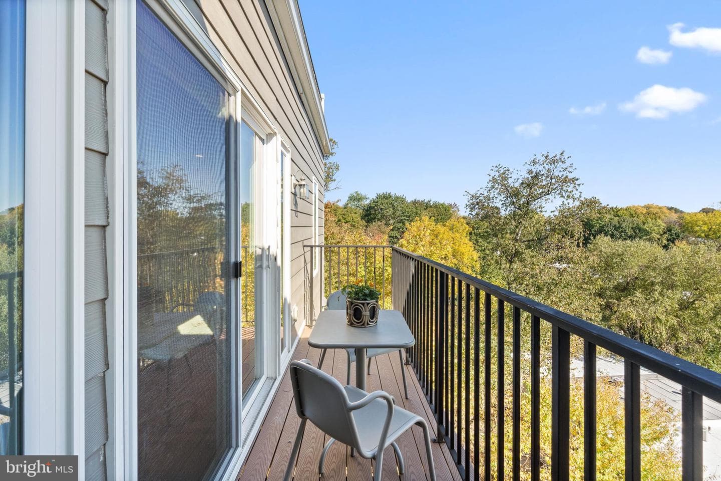 335 Wright Street photo 17