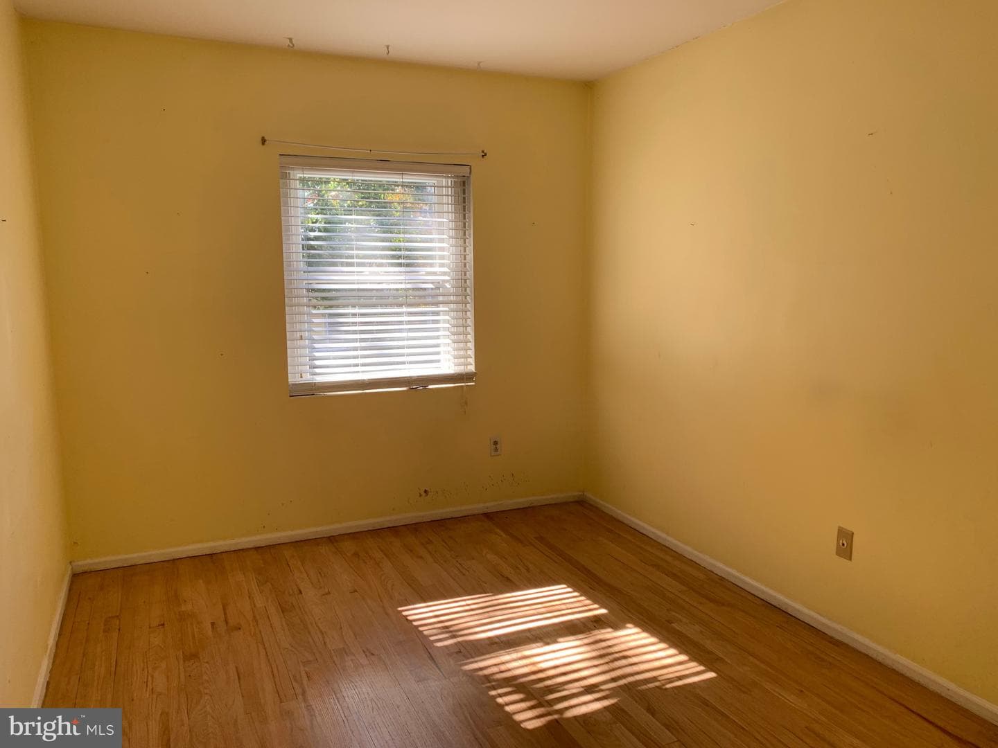 7300 Cresheim Road ##d4 photo 14