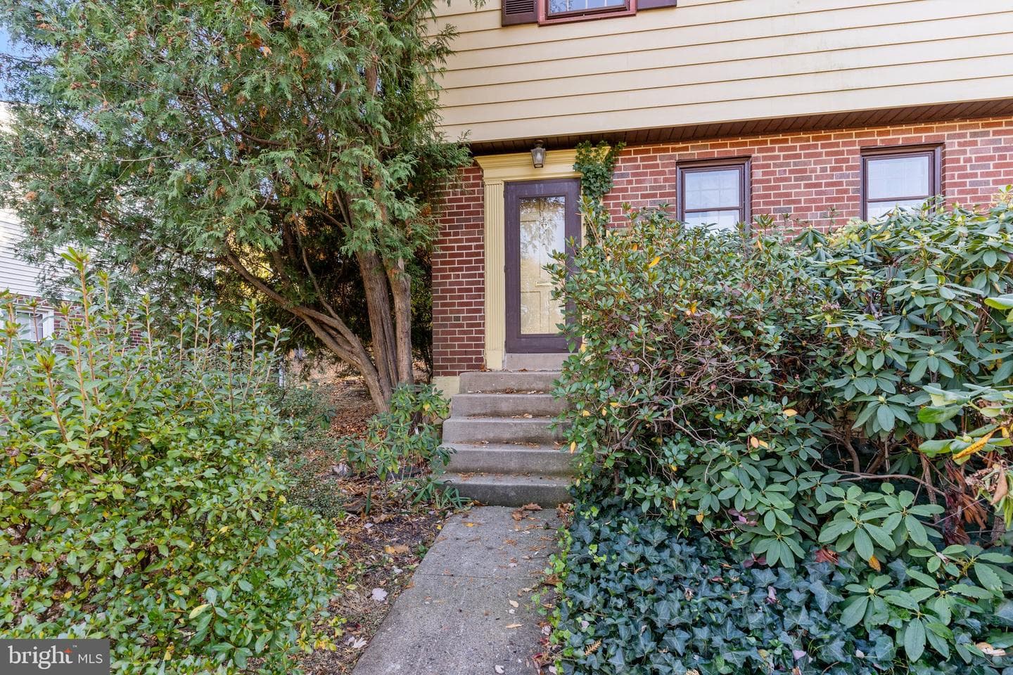 910 E Cathedral Road photo 2