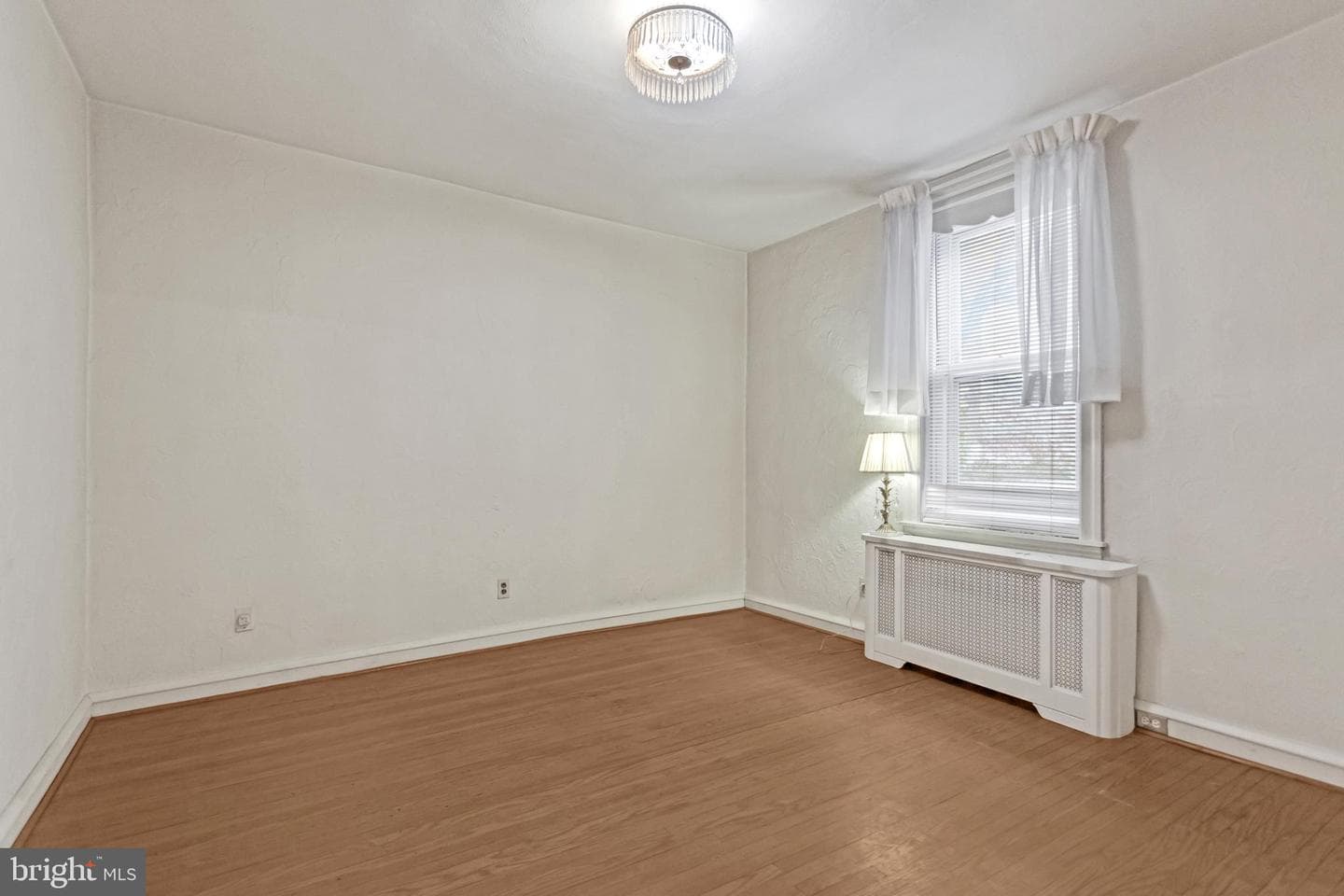 513 Pine Street photo 21