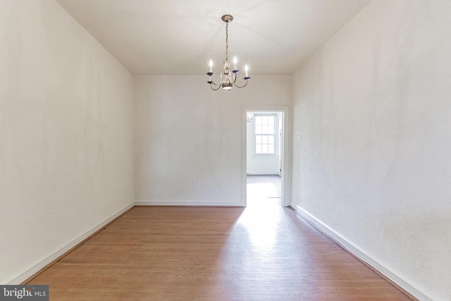 513 Pine Street photo 26