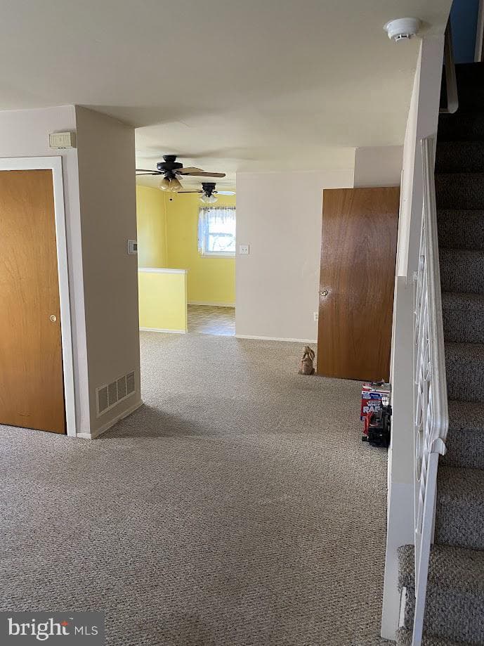 3848 Violet Drive photo 10