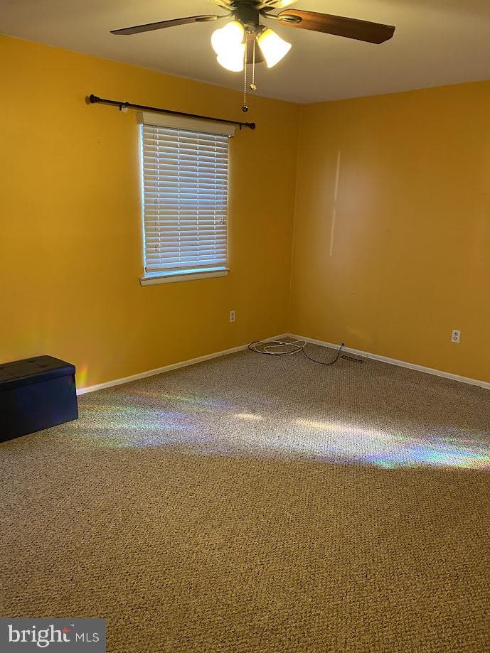 3848 Violet Drive photo 18