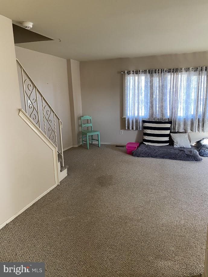 3848 Violet Drive photo 8