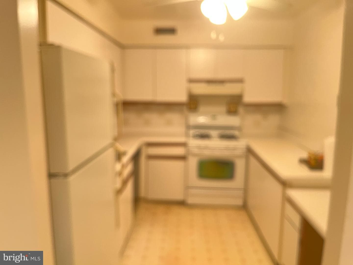 45301 Delaire Landing Road #301 photo 8