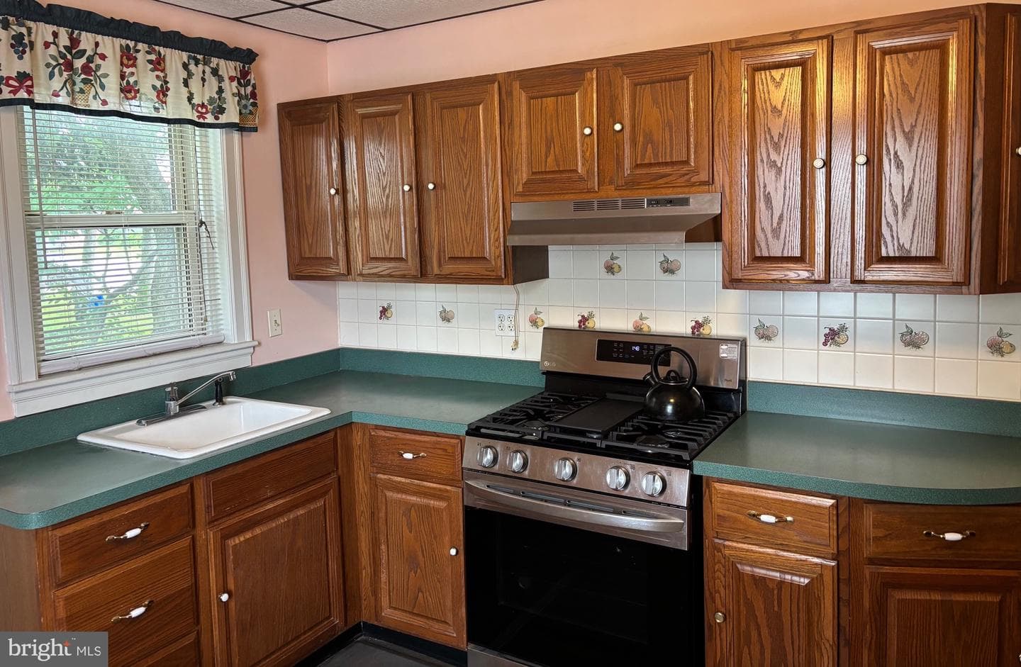 6783 Ridge Avenue photo 9