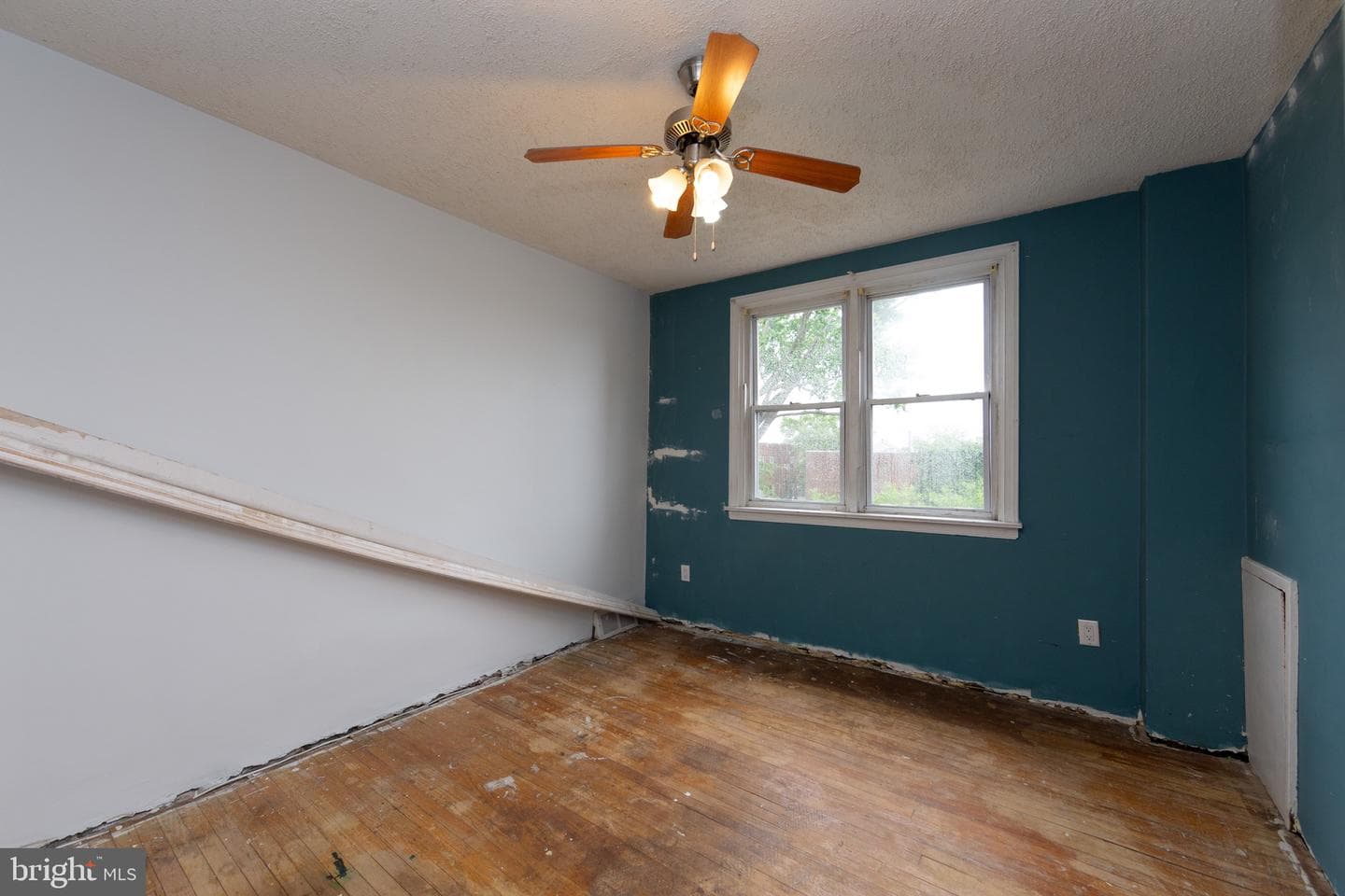 3551 Rhawn Street photo 13
