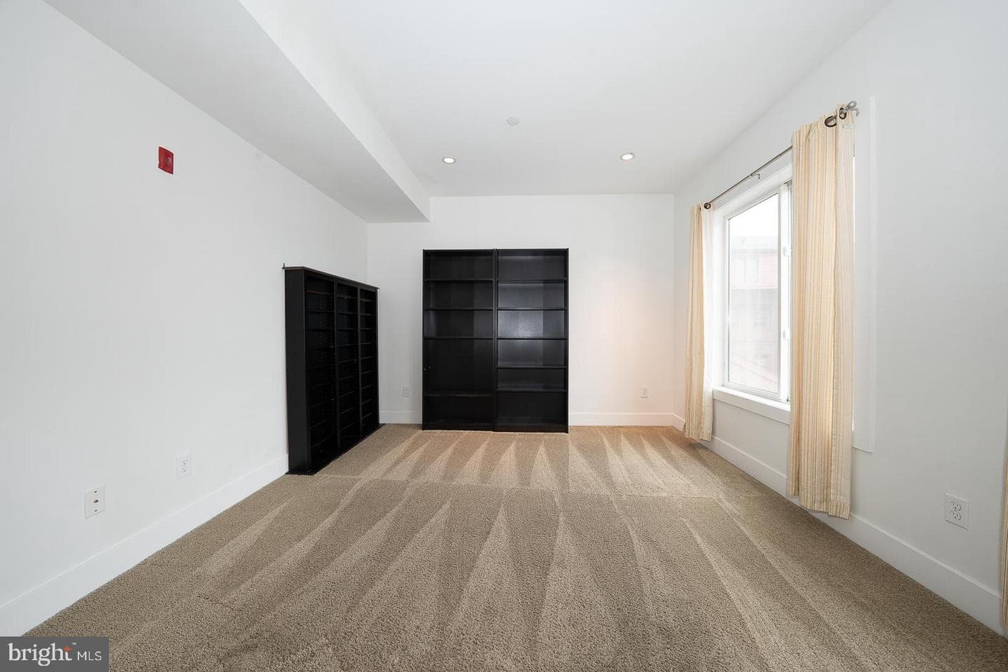 110 Naudain Street #4 photo 5