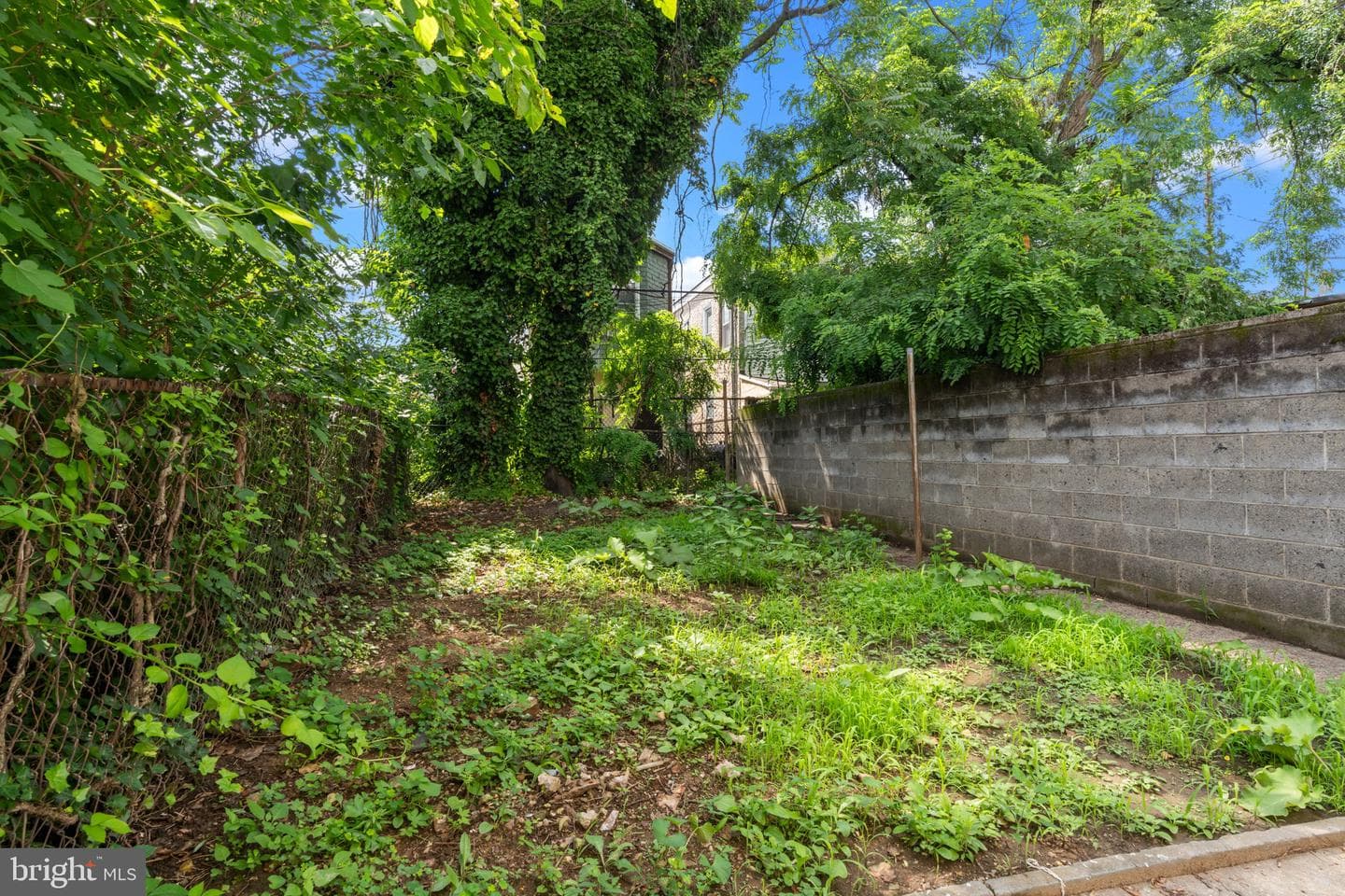 1814 N 22nd St photo 38