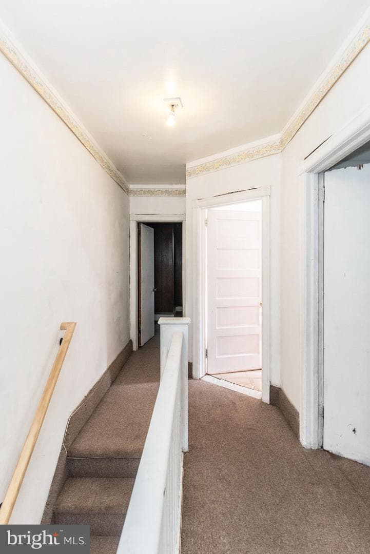 245 Widener Street photo 56