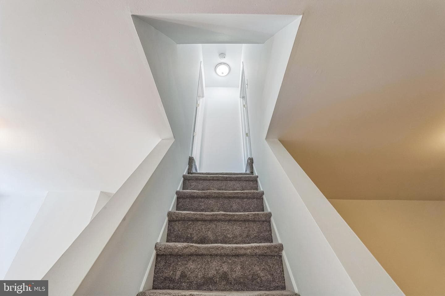 2519 E Gordon Street photo 21
