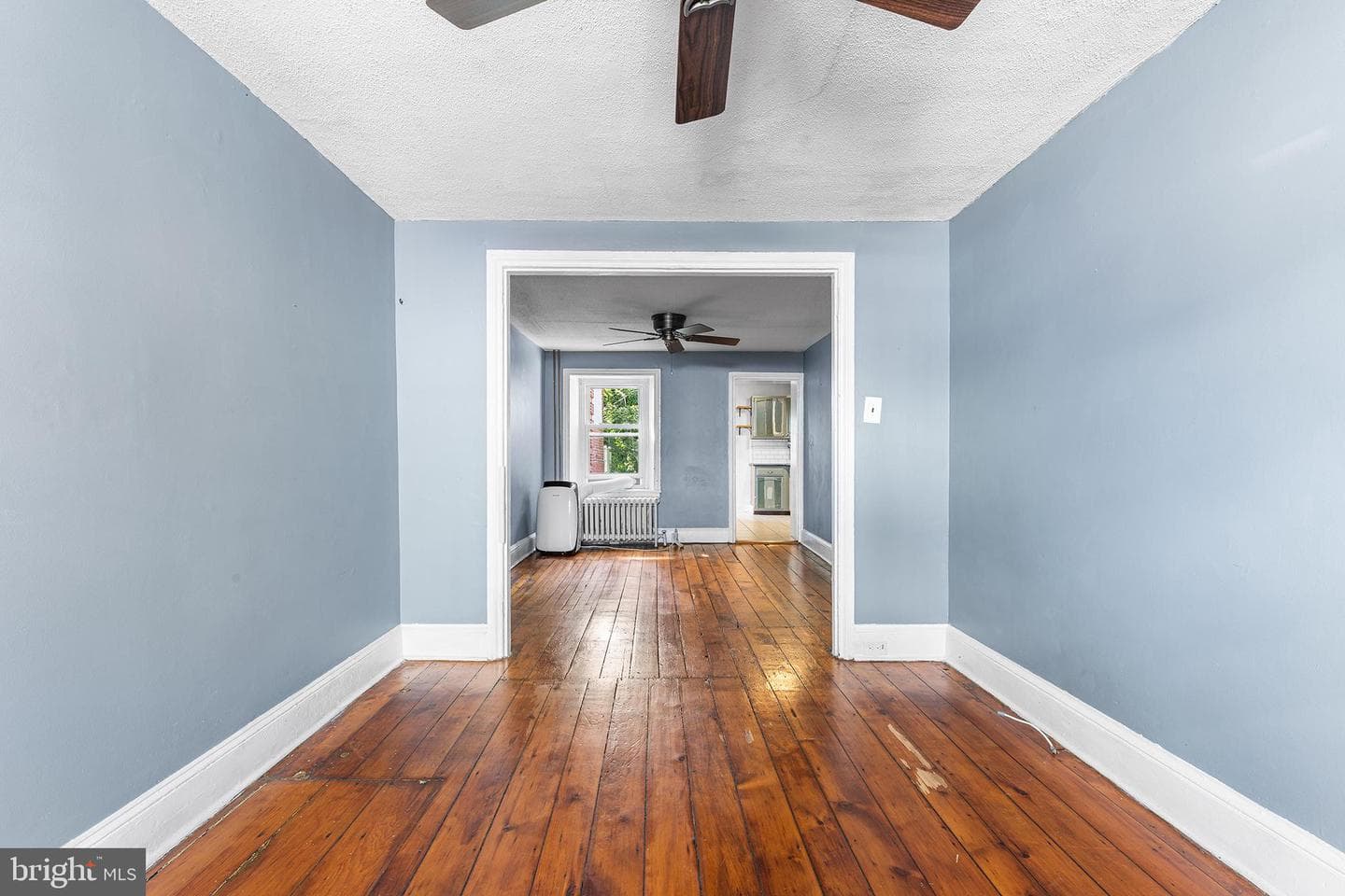157 Cotton Street photo 3